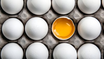 سعر البيض اليوم الاثنين 22-9-2025.. ارتفاع الأحمر والأبيض وانخفاض البلدي 