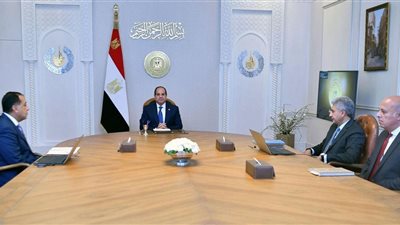 الرئيس السيسي يشدد على أهمية المتابعة الدقيقة لتفاصيل افتتاح المتحف المصري