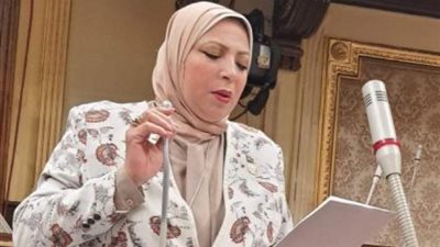 برلمانية: الجماعة الإرهابية حاولت استخدام علاء عبد الفتاح للإيقاع بين الشعب والمؤسسات (خاص)