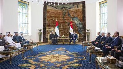 الرئيس السيسي ونظيره الإماراتي يرحبان بمبادرة طرحها ترامب لوقف الحرب في غزة
