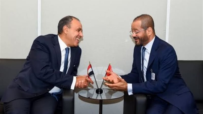 وزير الخارجية الدكتور