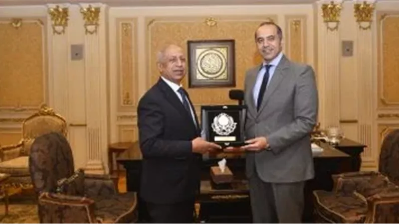 المستشار محمود فوزي