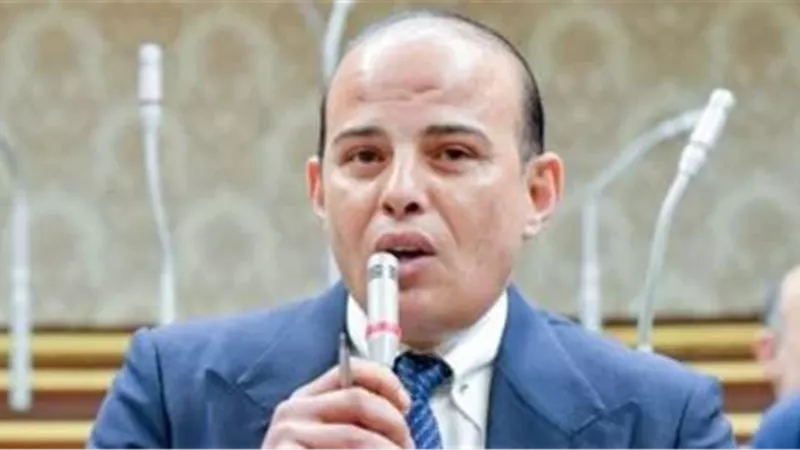 النائب عمرو القطامي