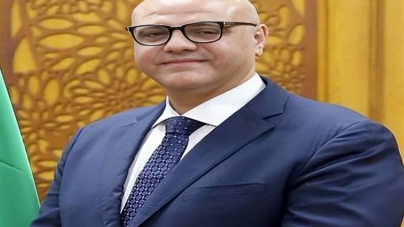 المهندس أيمن عطية،
