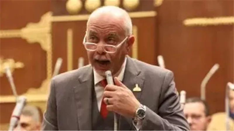 النائب حازم الجندي