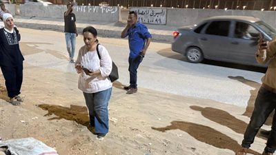 محافظة الجيزة تكشف تفاصيل نفوق 500 كلب في حدائق الاهرام 