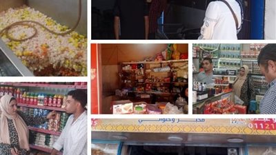 تموين القليوبية يوجه ضربة قوية للغش التجاري.. ضبط سلع فاسدة وتحرير 34 محضرًا