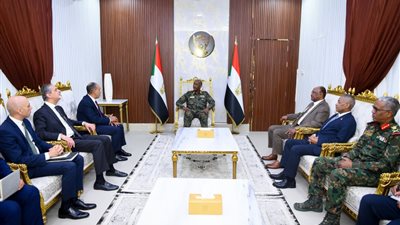 وزير الخارجية يؤكد للفريق البرهان رفض الإجراءات الأحادية في نهر النيل