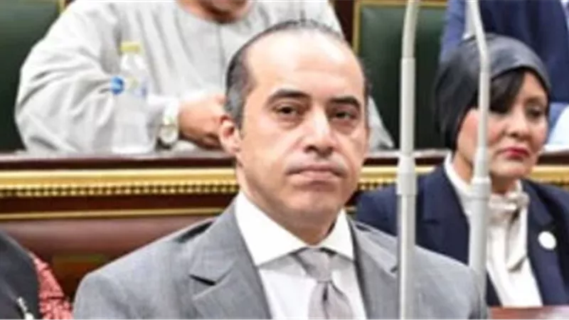 محمود فوزي
