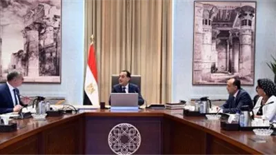 مدبولي يستعرض مع وزير البترول استراتيجية مصر للطاقة والهيدروجين الأخضر حتى 2030