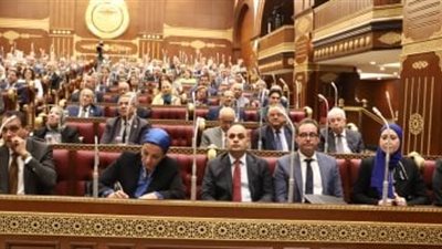 نائب بالشيوخ: خطاب السيسي في أكاديمية الشرطة رسالة وعي وقوة لمستقبل مصر