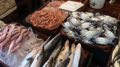 تعرف على أسعار الأسماك والجمبري اليوم الجمعة 2025/10/10