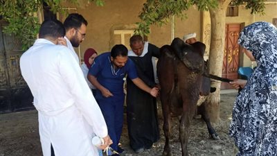 جامعة المنيا تطلق قافلة بيطرية بقرية 