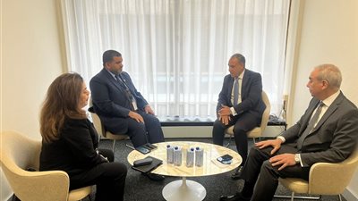 وزير الخارجية يشيد بالدعم الإماراتي والعربي لترشح خالد العناني لمنصب مدير عام اليونسكو