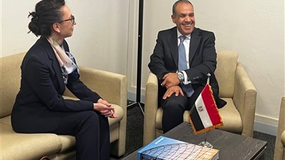 وزير الخارجية يلتقي مندوبة مولدوفا لدى اليونسكو.. تفاصيل