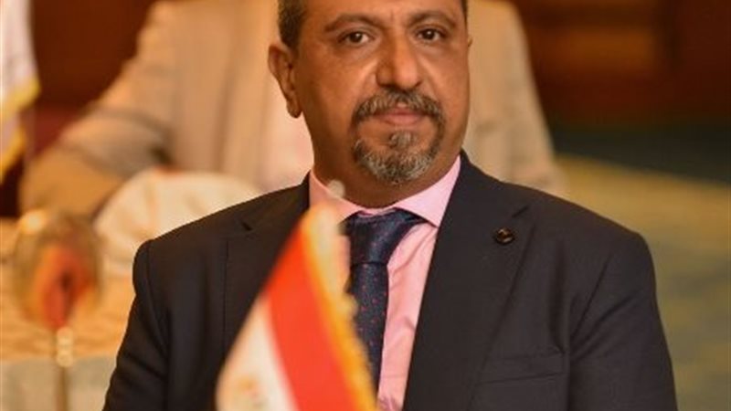 المهندس أيمن حافظ