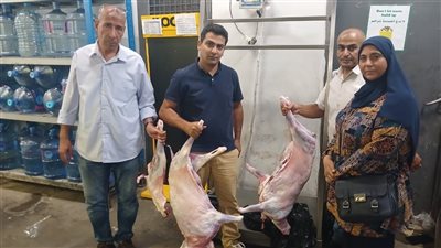 ضبط لحوم مذبوحة خارج المجازر ودواجن فاسدة خلال حملة بيطرية في المنوفية