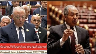العوضي وفارس عقب فوزهما بوكالة مجلس الشيوخ: سنكونا داعمين للدولة ومحققين طموحات الشعب المصري