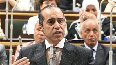 المستشار محمود فوزي لأعضاء الشيوخ: أنتم أهل للثقة ولن تغفلوا عن تحقيق آمال الشعب 