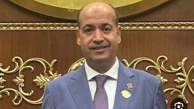 برلماني: وقف الحرب في غزة إنتصار للسياسة الخارجية المصرية (خاص) 