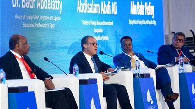 وزير الخارجية يسلط الضوء على قضايا البحر الأحمر في منتدى أسوان للسلام