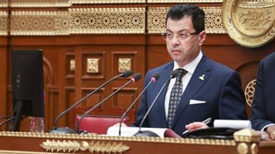 برلماني: مصر تحملت ما لا يتحمله أحد من أجل القضية الفلسطينية (خاص)