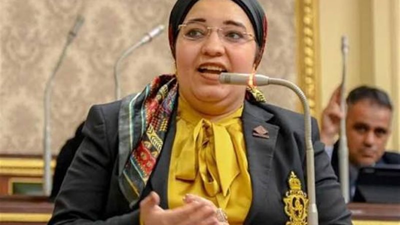النائبة دعاء عريبي