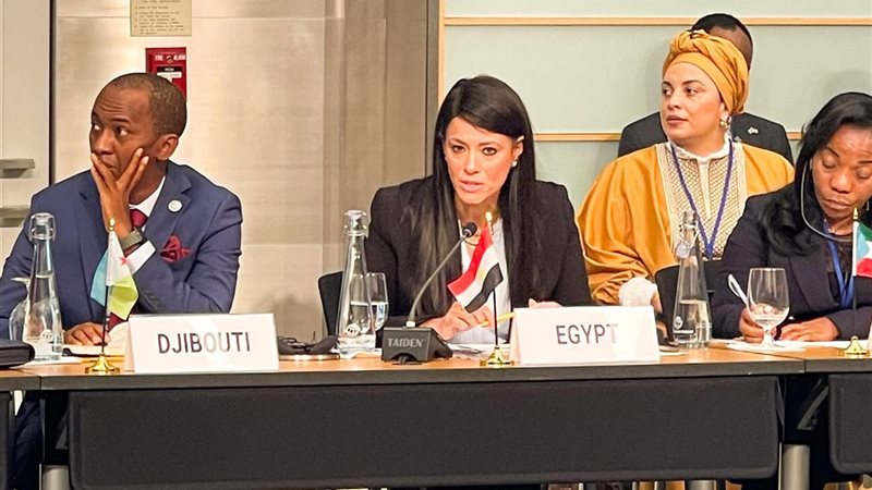 وزيرة التخطيط والتنمية