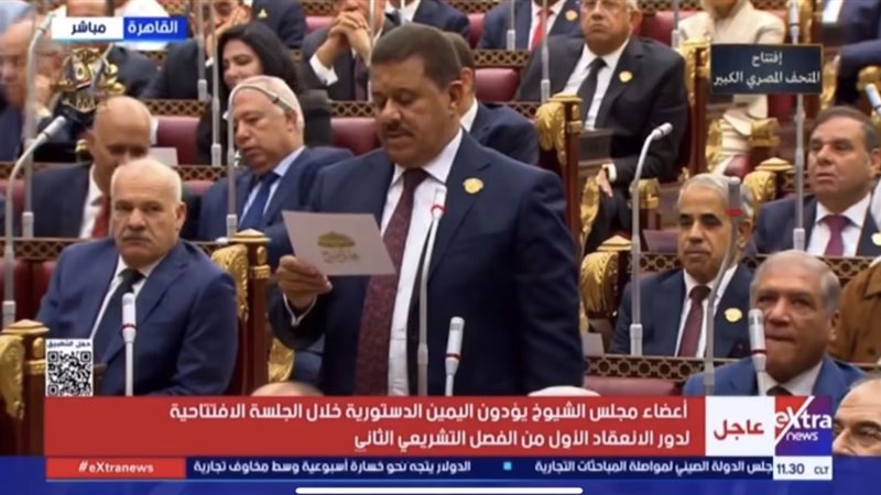 المستشار أحمد العادلي