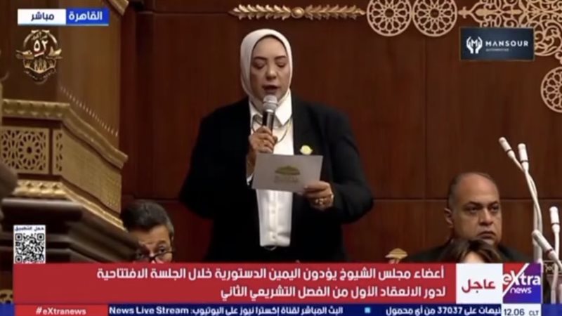 النائبة وفاء رشاد