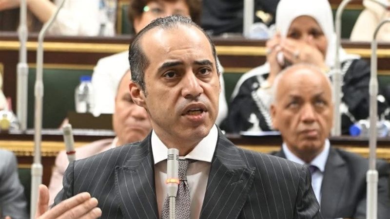 المستشار محمود فوزي