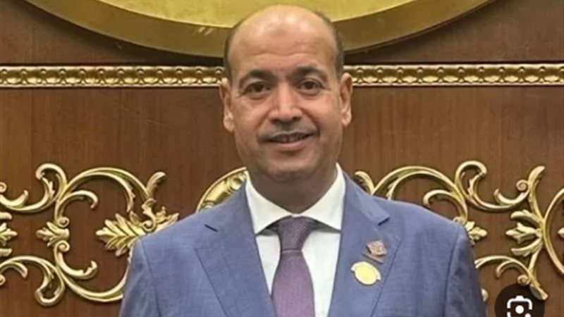 النائب أحمد السيد