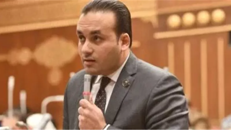 النائب عمرو فهمي