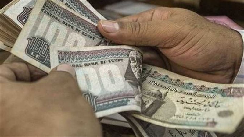 فرص عمل جديدة في