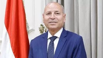 استعدادا لافتتاح المتحف المصري الكبير.. محافظ القاهرة يتفقد أعمال تطوير الطريق الدائري 