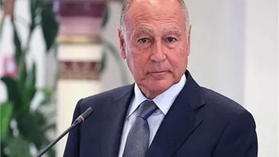 أبو الغيط يزور لبنان رسميًا لدعم الحكومة ضد الاعتداءات الإسرائيلية