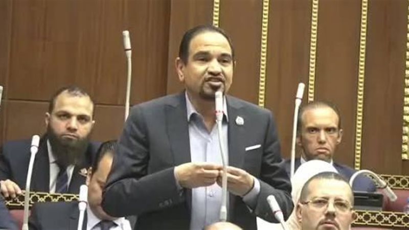 النائب محمد الضبعاوي