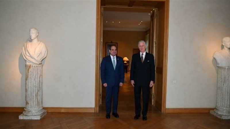 الرئيس السيسي يلتقي