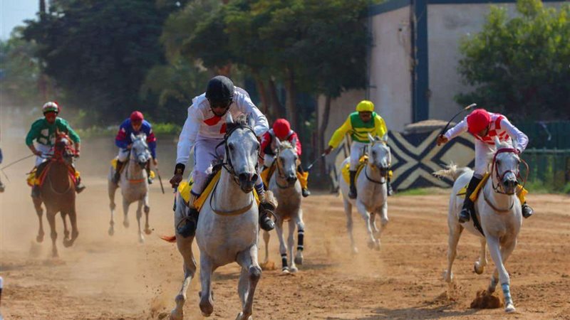 كأس رئيس دولة الإمارات