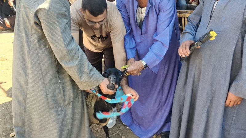 جانب من الحملة