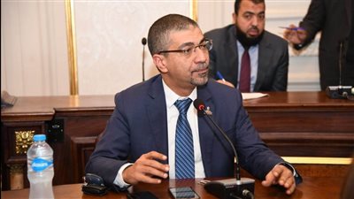 عضو بالشيوخ: الشعب المصري أكثر وعيًا ويدرك تحديات الدولة (خاص)