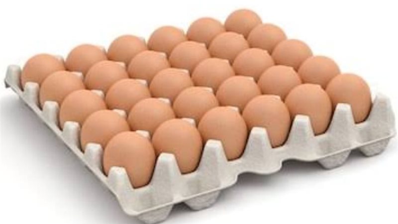 تراجع أسعارةالبيض