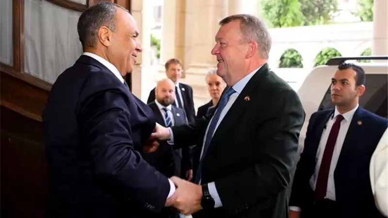 وزير الخارجية المصرية