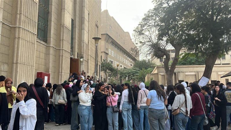 كلية التجارة بجامعة