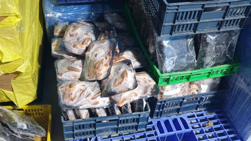 ضبط ٨ أطنان لحوم