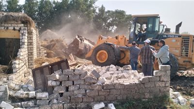 الشرقية: الأجهزة التنفيذية تزيل التعديات المخالفة على الأراضي الزراعية وأملاك الدولة