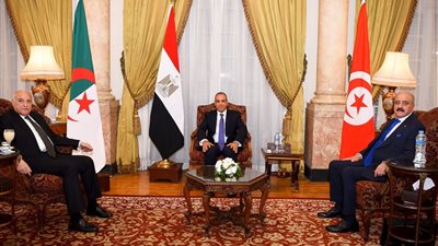 مصر والجزائر وتونس في بيان: نرفض التدخل الأجنبي بليبيا ونطالب بطرد المرتزقة