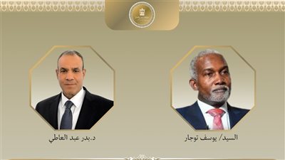 اتصال هاتفي بين وزيري خارجية مصر ونيجيريا لبحث تعزيز التعاون الثنائي والقضايا الإقليمية