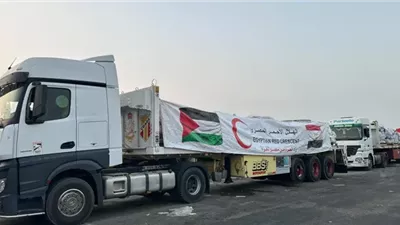 استئناف دخول المساعدات من مصر إلى غزة بعد توقف ليومين