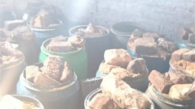 ضبط 12 طن أسماك مملحة غير صالحة للاستهلاك الآدمي في كفر الشيخ